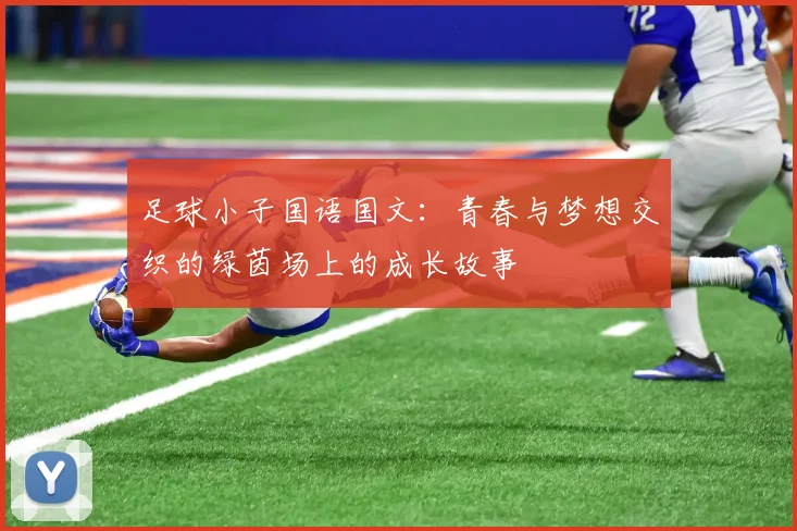 足球小子国语国文：青春与梦想交织的绿茵场上的成长故事