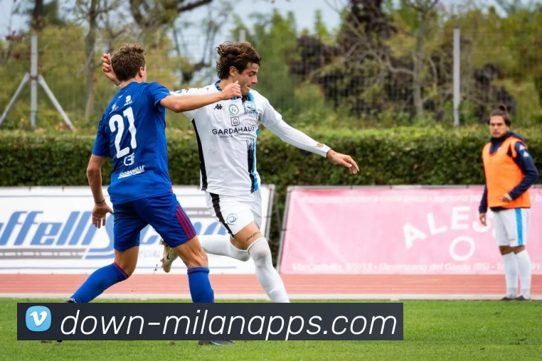 App Interface Preview