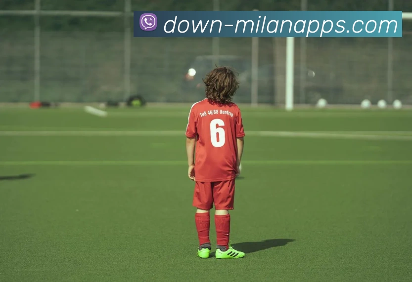 米兰体育APP 封面图